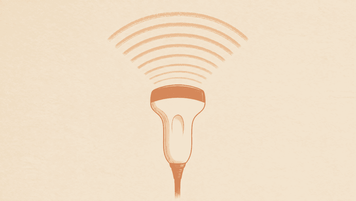 An Ultrasound Is Operator-Dependent: How to Read the Report and Its Limits