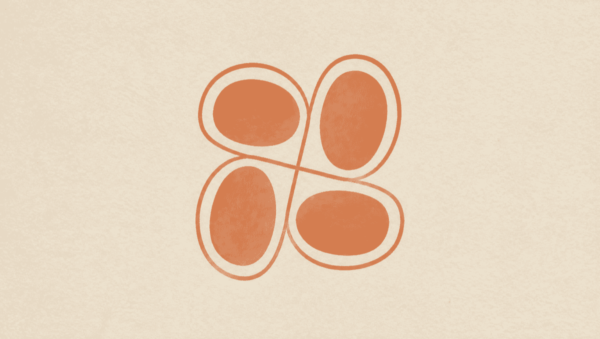 Heart, Kidney, and Nerves at Once: Why Amyloidosis Takes Years to Name