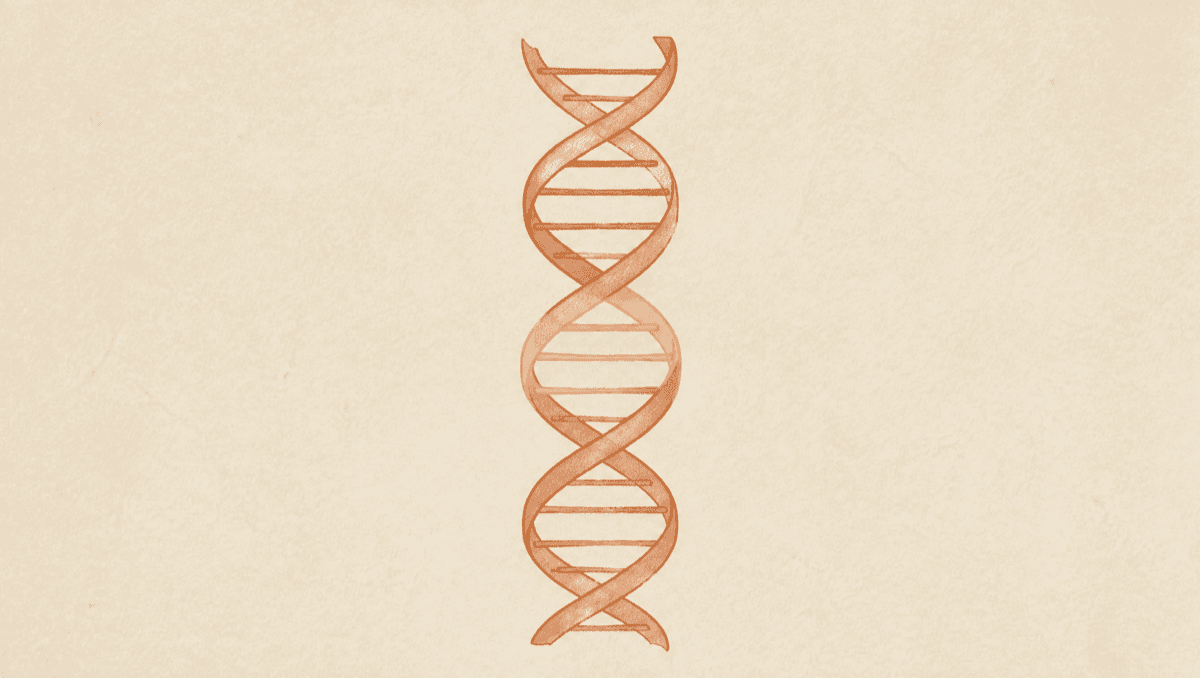 A BRCA Result Is a Probability, Not a Verdict: How to Read Hereditary Cancer Genetic Testing