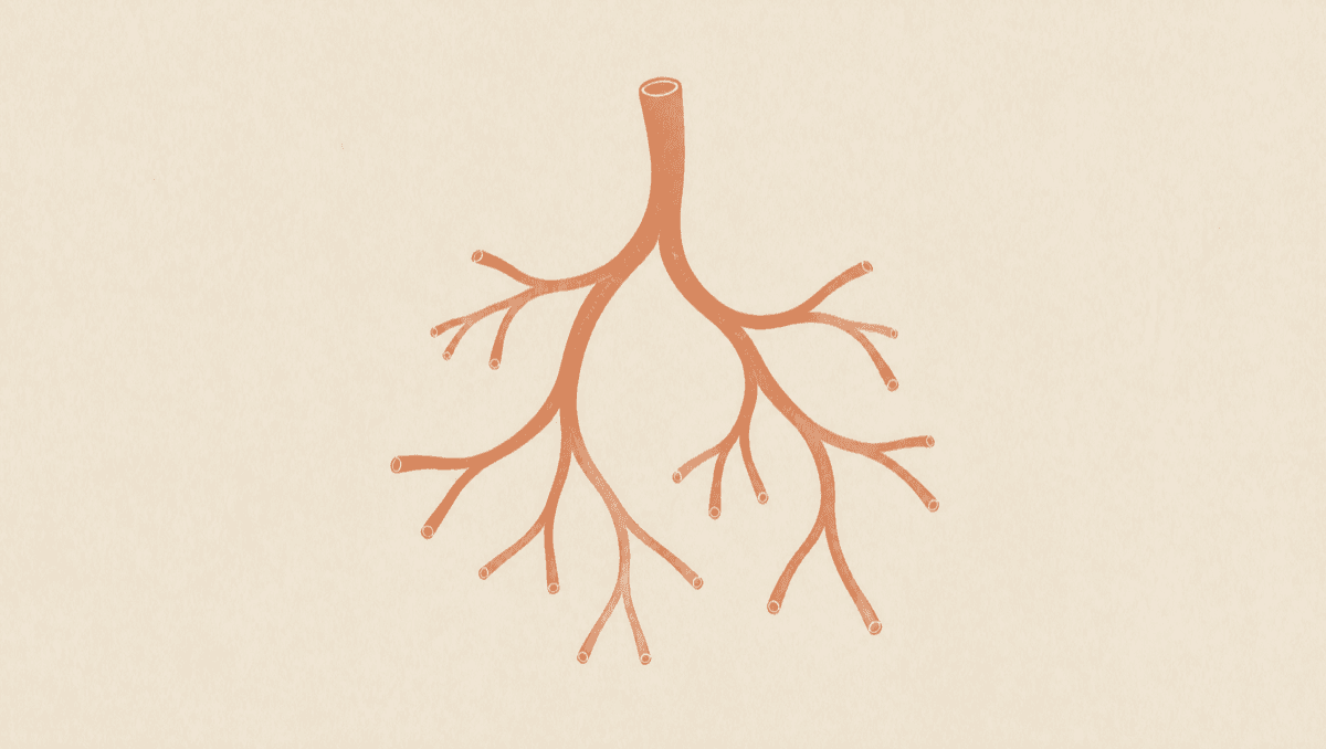 Itch and Fatigue With a High ALP: Primary Biliary Cholangitis Explained