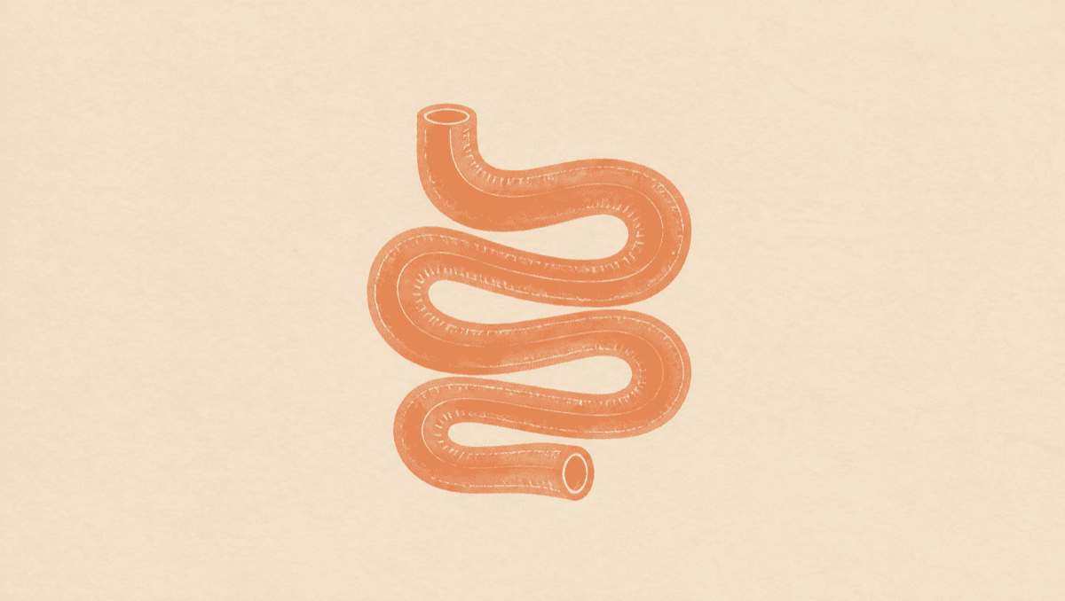 The Bloating Nobody Explained: How SIBO Is Tested and Why It Gets Missed