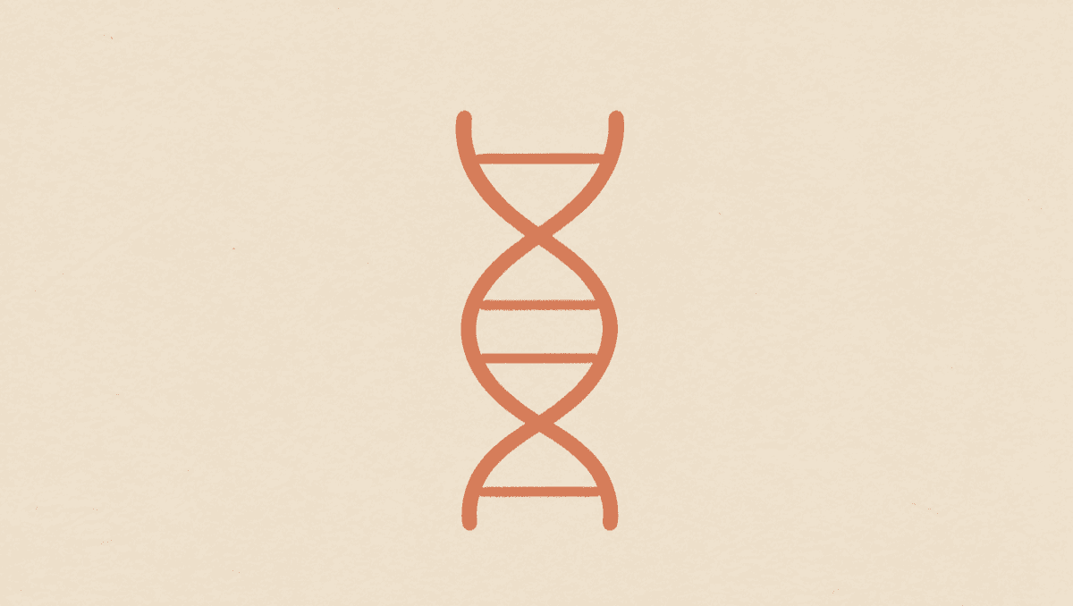 Testarea MTHFR este supraevaluată: Ce înseamnă și ce nu înseamnă varianta genetică