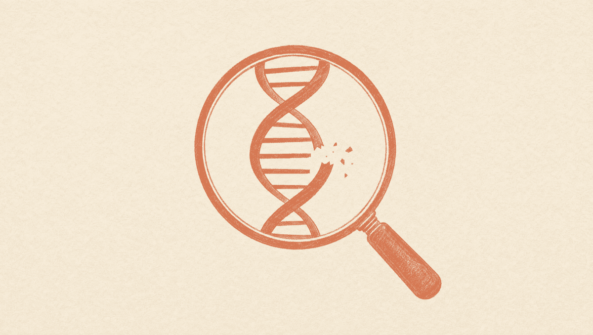 A Normal Semen Analysis Can Still Miss This: Sperm DNA Fragmentation Explained
