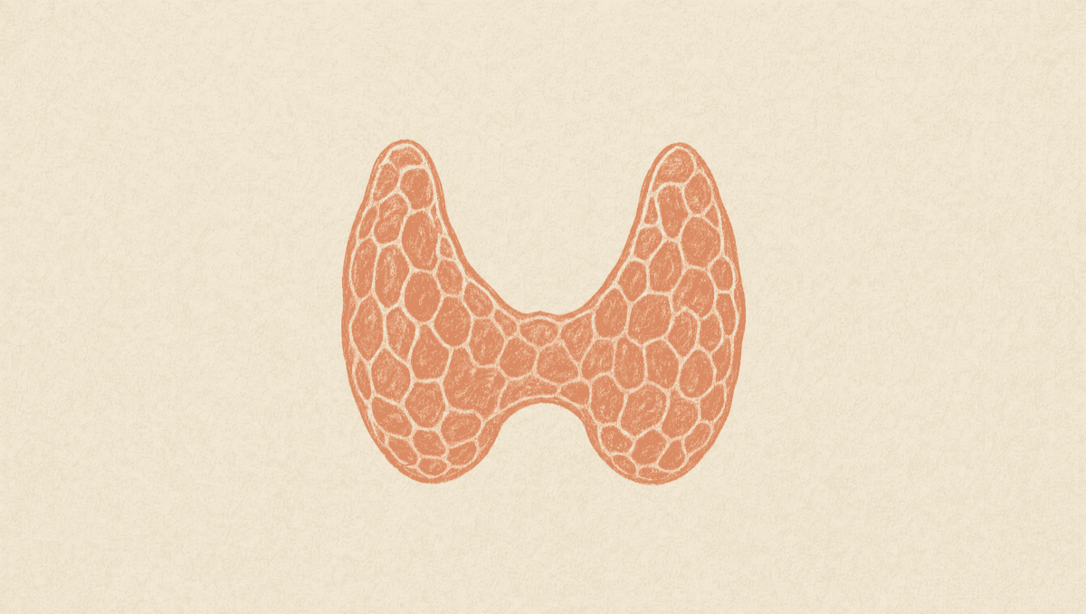 The Thyroid Nobody Checked: How Thyroid Problems Quietly Stall Fertility