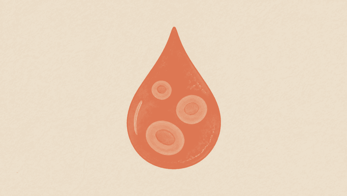 Your CBC Is a Pattern, Not a Row of Numbers: How to Read a Complete Blood Count