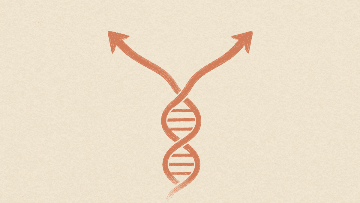 The Same Cancer, Two Different Drugs: What Tumor Genomic Testing (NGS, MSI, PD-L1) Decides