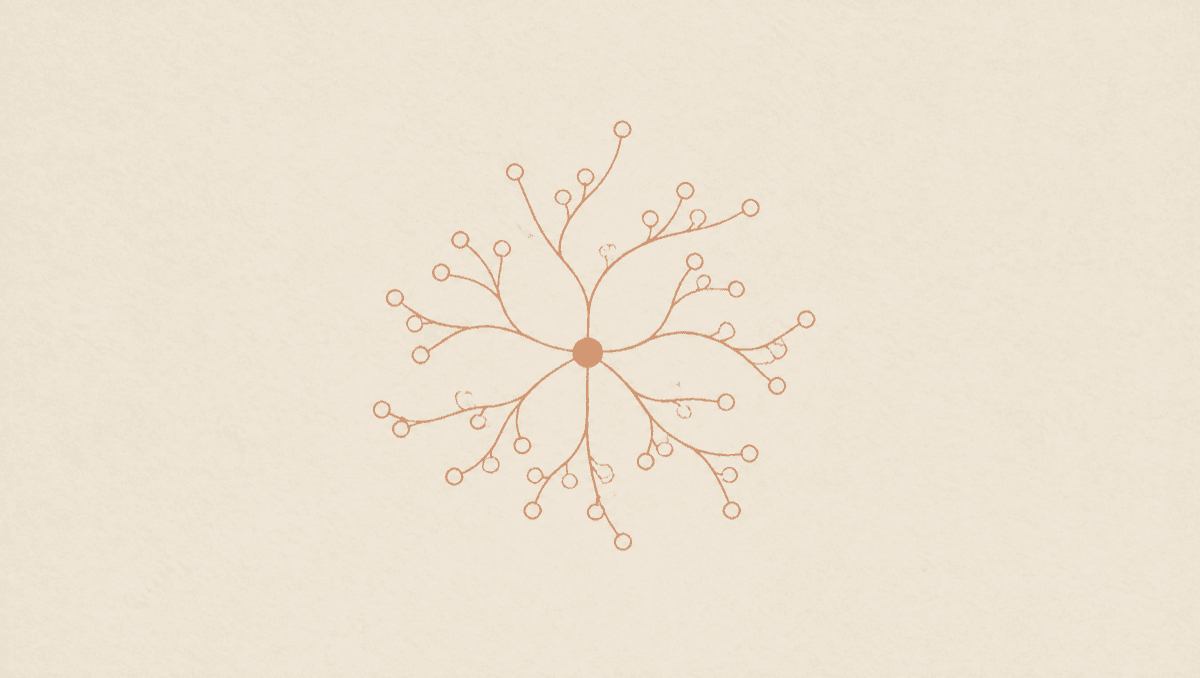 What a Sentinel Node Result Actually Changes: Reading the Biopsy